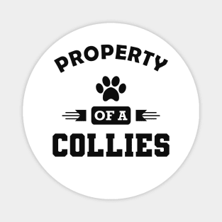 Collie dog - Property of a collies Magnet